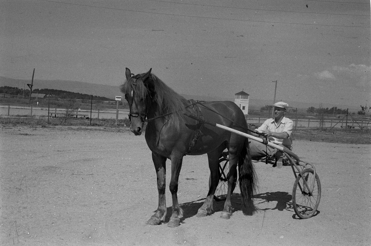 Fra Leangen travbane