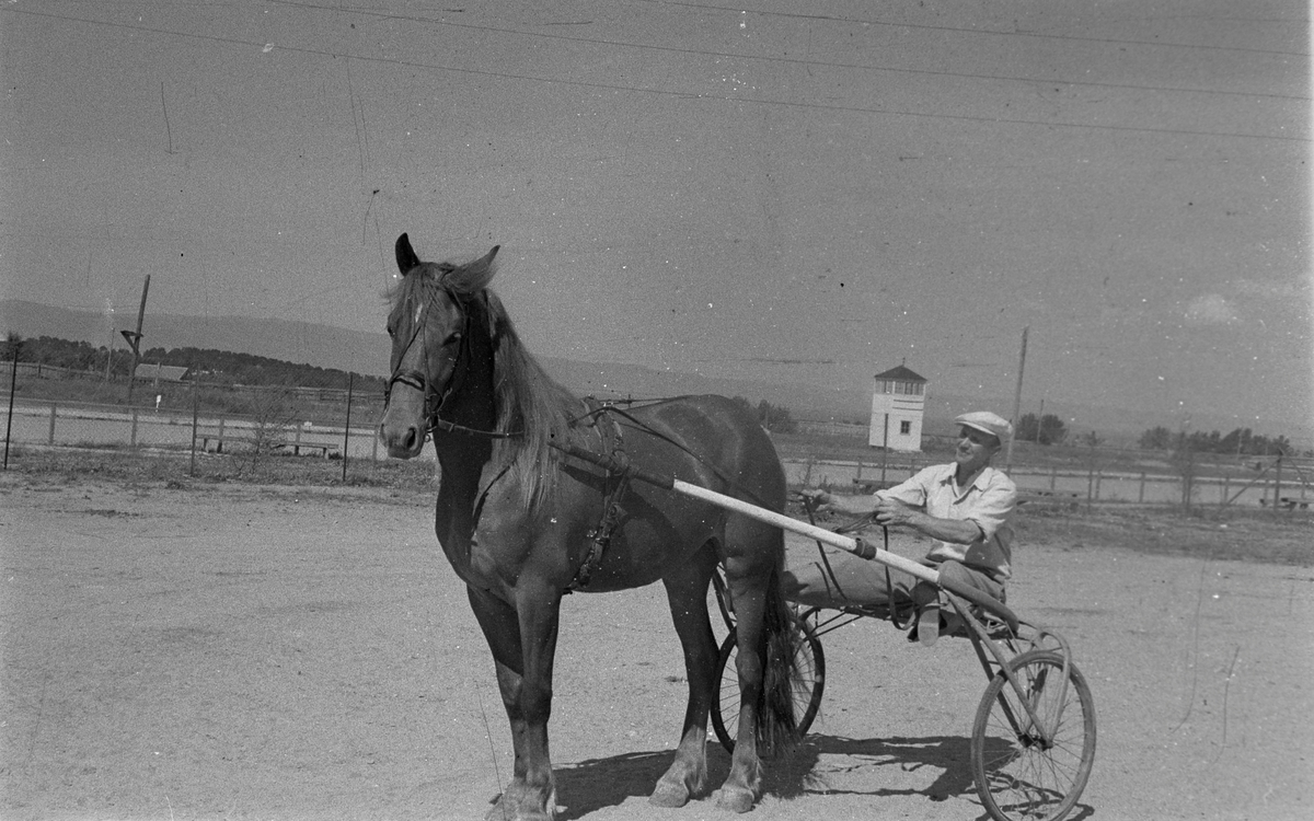 Fra Leangen travbane