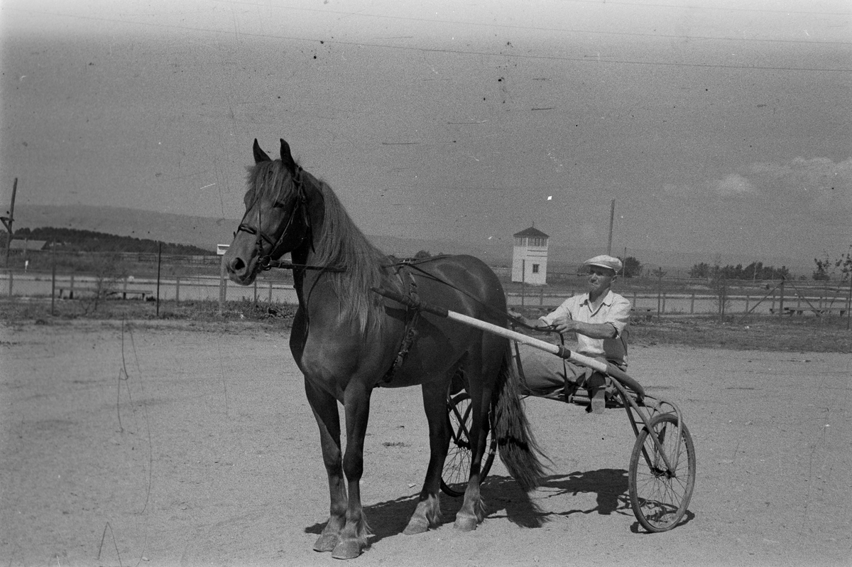 Fra Leangen travbane