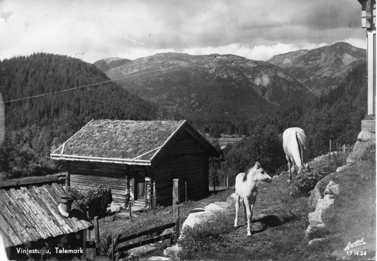 Vinjestugu, Telemark