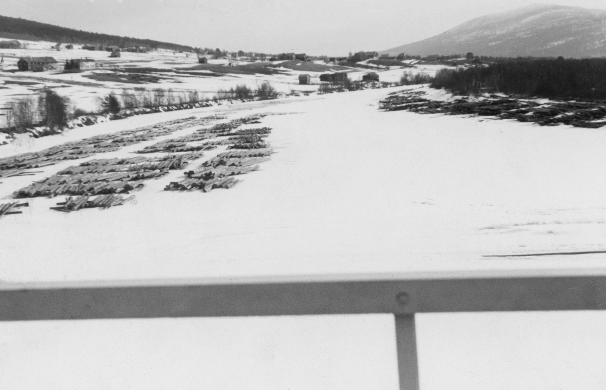 Tømmer på elveisen like nord for Tynset bru vinteren 1954.  Fotografiet er tatt fra brua.  Det viser hvordan virket er lagt ut i ettlags floer på underliggende tverrstokker.  Floene er plassert mellom og på hver sin side av to sledeveger på isen oppover elva, nærmere vestre enn østre bredd.  Den midtre rekka av tømmerfloer er noe bredere enn dem på sidene, antakelig fordi den midtre er opplagt fra to sider (begge vegene).  Landet øst for elva (til høyre i bildet) er dekt av krattskog.  På den vestre bredden er det litt krattskog i den lave elveskråningen.  Bakenfor ses et kulturlandskap med delvis snødekte jorder og gardsanlegg. 