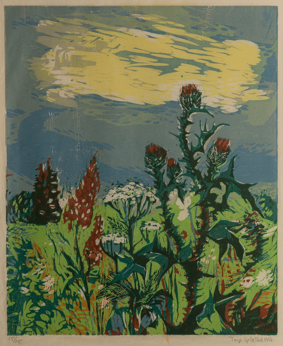 Blomstereng [Fargetresnitt]