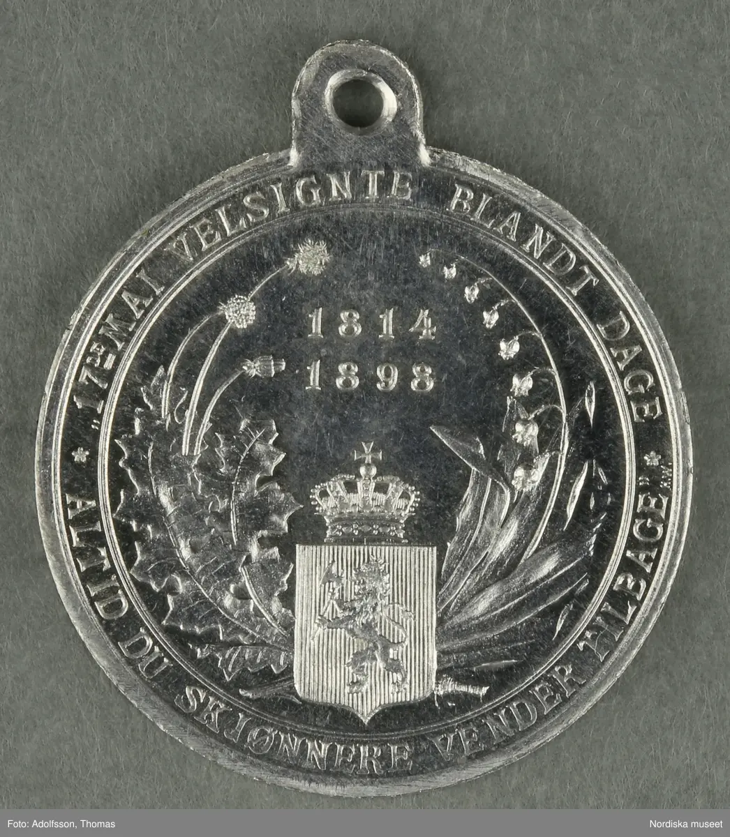 Huvudliggaren:
"a-y, Minnesmedaljer, norska, över den 17 maj; av aluminium (1 av vit metall) 24 st. från åren 1884-1907.
Gåva 28/5 1907. Läffler, Fritz, professor, Djursholm."