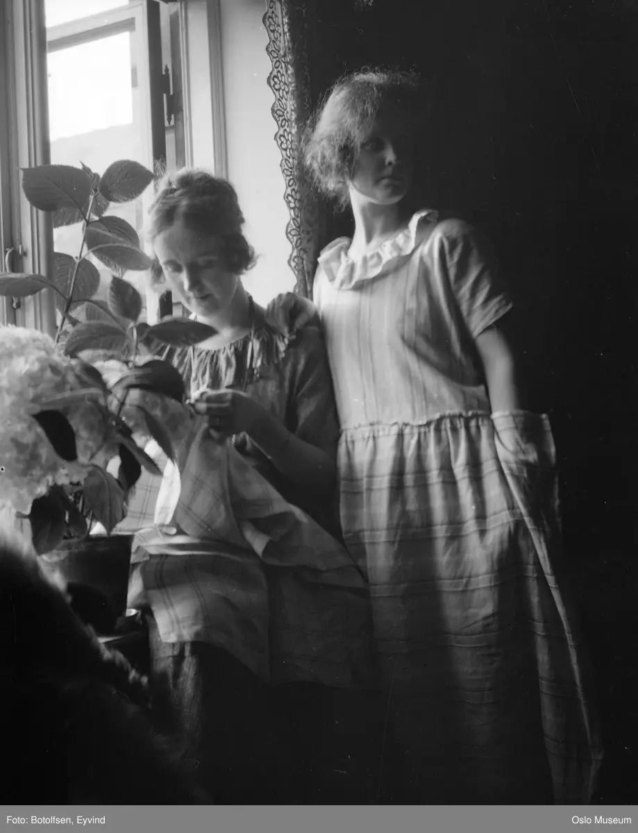 bolig, interiør, kvinner, sytøy, vindu, potteplante