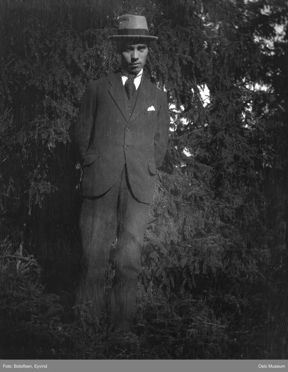 portrett, mann, stående helfigur, hage