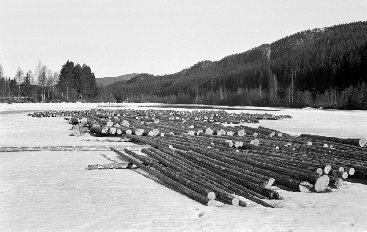 Tømmertillegging på ei snø- og isdekt ør ved Glomma, Storøra ved Opphus i Stor-Elvdal i Hedmark vinteren 1964. Her er tømmeret lagt i floer vinkelrett på underlagsstokker på den snødekte isen. Glomma fellesfløtingsforening, Glommen Tømmermaaling og andre bransjeorganisasjoner så helst at tømmeret ble levert ved elvebredden, for der var det ikke samme fare for nedkjøving som ute på vassdraget. Stokker som ble innfrosset på denne måten ble fuktmettete, noe som innebar stor fare for at det ville synke når det skulle fløtes over lange distanser mot industrianleggene ved den nedre delen av vassdraget. Med tanke på tømmermålinga var det viktig at stokkene lå i enkle floer eller flaker, sclik det er gjort her. På den måten kom målerne godt til med diameterklavene sine. Reglene for tillegging av fløtingstømmer på den tida dette fotografiet ble tatt er gjengitt under fanen «Opplysninger».

Tømmerstokkene her var åpenbart allerede målt og annammet. Vi skimter nemlig tre fargeklatter i hver stokkende. Fargemerking av cellulosetømmeret ble innført i Glommavassdraget fra og med 1962-sesongen.