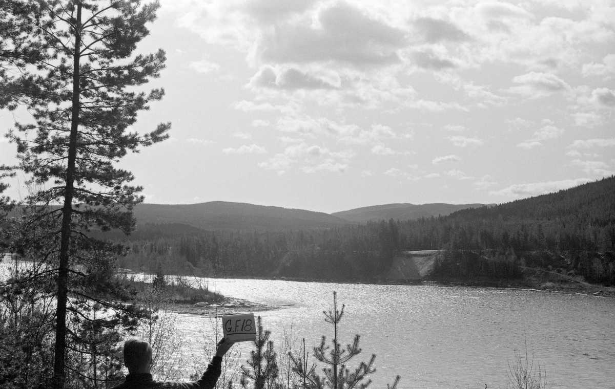 Utsikt over Glåmas eller Glommas løp et sted som oppgis å være i Alvdal kommune. Vi vet foreløpig ikke hvilket sted. Fotografiet er tatt fra en elvebredd mot vassdraget, som akkurat her var forholdsvis stilleflytende. Til venstre i bildet ser vi en ørliten holme, egentlig ei grusør som stakk såpass høyt opp at det vokste krattskog langs på den sentrale delen. Slike oppstikkende ører var hindere for fløtingsvirket. Dette bildet er tatt for å dokumentere områder som var problematiske i forbindelse med tømmerfløtinga i Glåma. Dokumentasjonen ble gjennomført med tanke på «elveforbedringsarbeider», tiltak som skulle endre elvetopografien til beste for fløtingsvirksomheten. Glomma fellesfløtingsforening (og Christiania Tømmerdirektion tidligere) hadde gjennom mange år organisert sprening av større steinskjær som tømmeret hadde lett for å sette seg fast i. I 1960-åra fikk man også tilgang til ny teknologi - bulldoserkraft - som kunne skyve stein- og grusører inn på elvebreddene slik at tømmeret lettere kunne flyte fritt. I forgrunnen på dette fotografiet står en mann med ryggen mot fotografen og holder opp et kvitt ark med innskriften «G.F.18». Dette var sannsynligvis en referanse til ei liste over lokaliteter der fløtingsfunksjonærene foreslo slike tiltak.  eventuelle utbedringer for å lette fløtingen i vassdraget. Her kan fløtingsfunksjonærene ha tenkt at det ville vært greit å få fjernet den nevnte holmen.