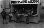 Barnens dag i Västerås 1933.