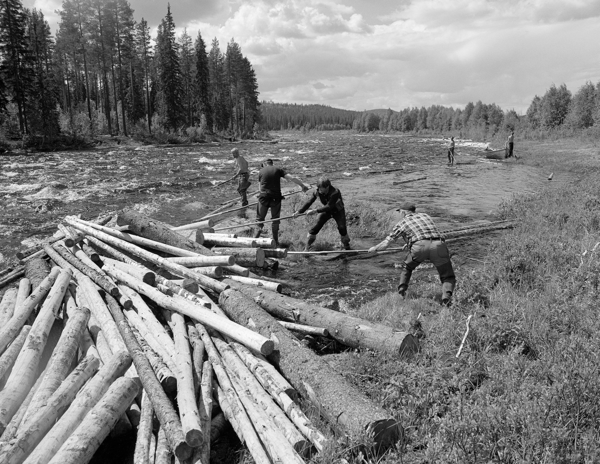 Sluttrensk i elva Stor-Grøna i Trysil, Hedmark. Fløtere i arbeid for å løsne tømmeret i en tømmervase som har bygd seg opp i elva.