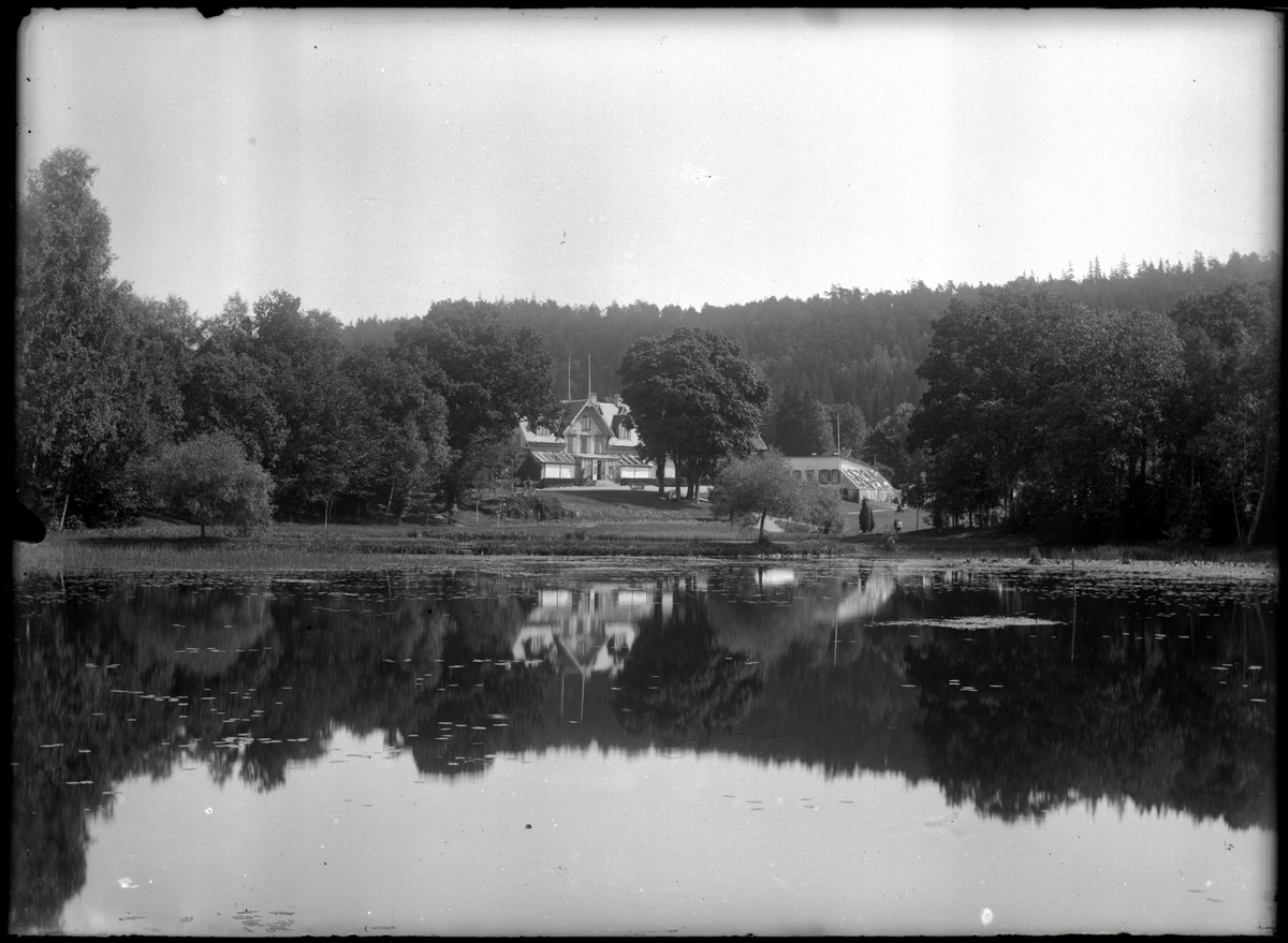 Björkås