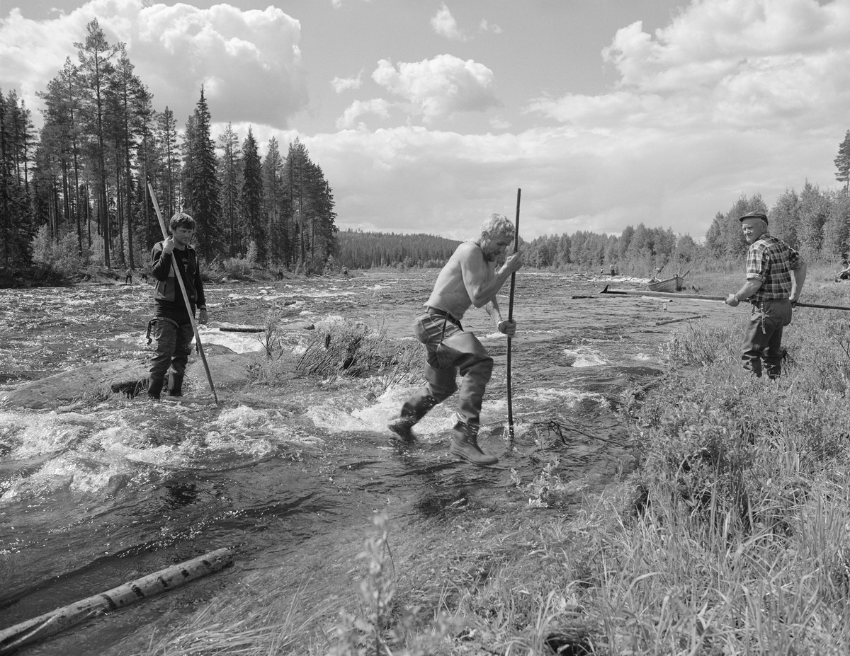 Sluttrensk i elva Stor-Grøna i Trysil, Hedmark. Fløtere i arbeid med å løsne tømmer som har lagt seg langs elvebredden.