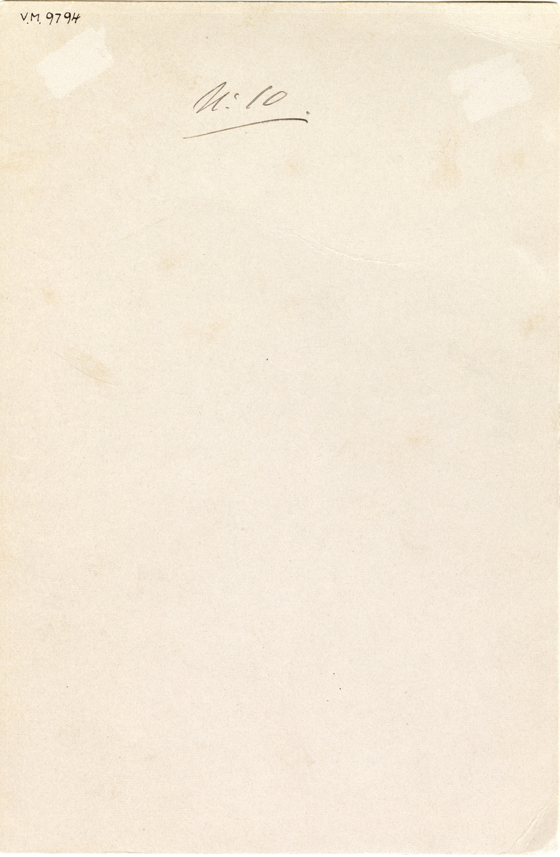 Naturmotiv med centralt placerad tall, kolmila i bakgrunden och en hare i förgrunden. Ovalt stående format. Tänkt som vinjett till en av författaren Gustaf Schröders böcker. 
Under motivet står "Förslag till vignett för en Bruksbokshållares minnen - Guld perm Grönt eller rödt - Schangtil P[...]!?"
Under motivet står "