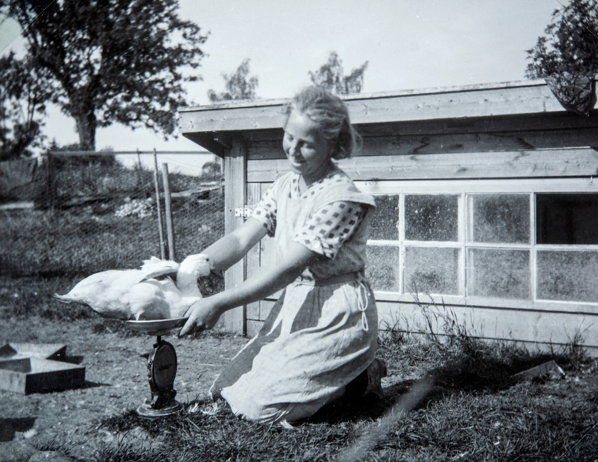 Ella Holt, gift Nerhagen. Veier en gås på Ottestad Nordre, Stange.