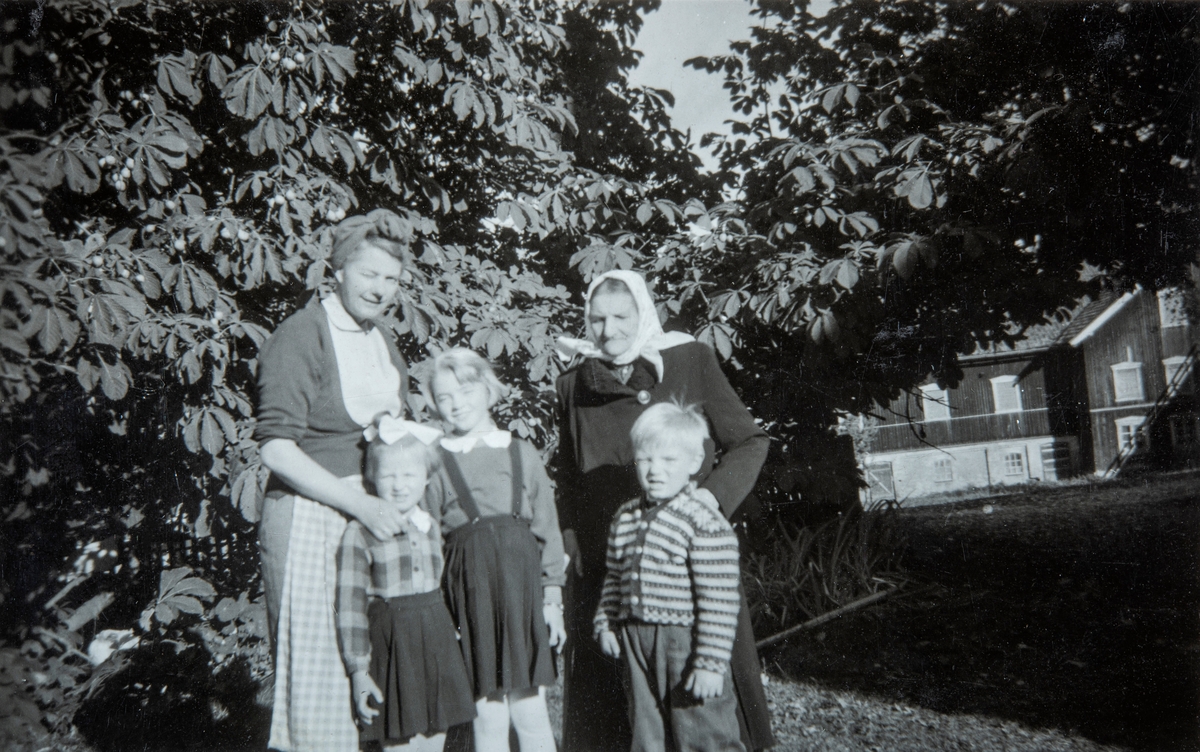 Gruppe 5. Sigrid, Ingvild Fløene, Anne og Olav Gjestvang. Og Pauline Evensen, som jobbet mye på Ottestad Gård. Stange.