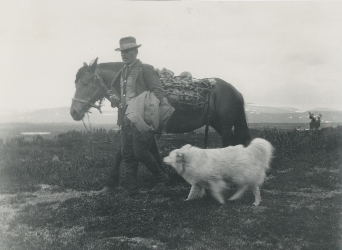 Jens Pålsson med häst och hund, Forsåsen, Jämtland