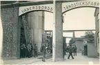 Vänersborgs tändstickfabrik