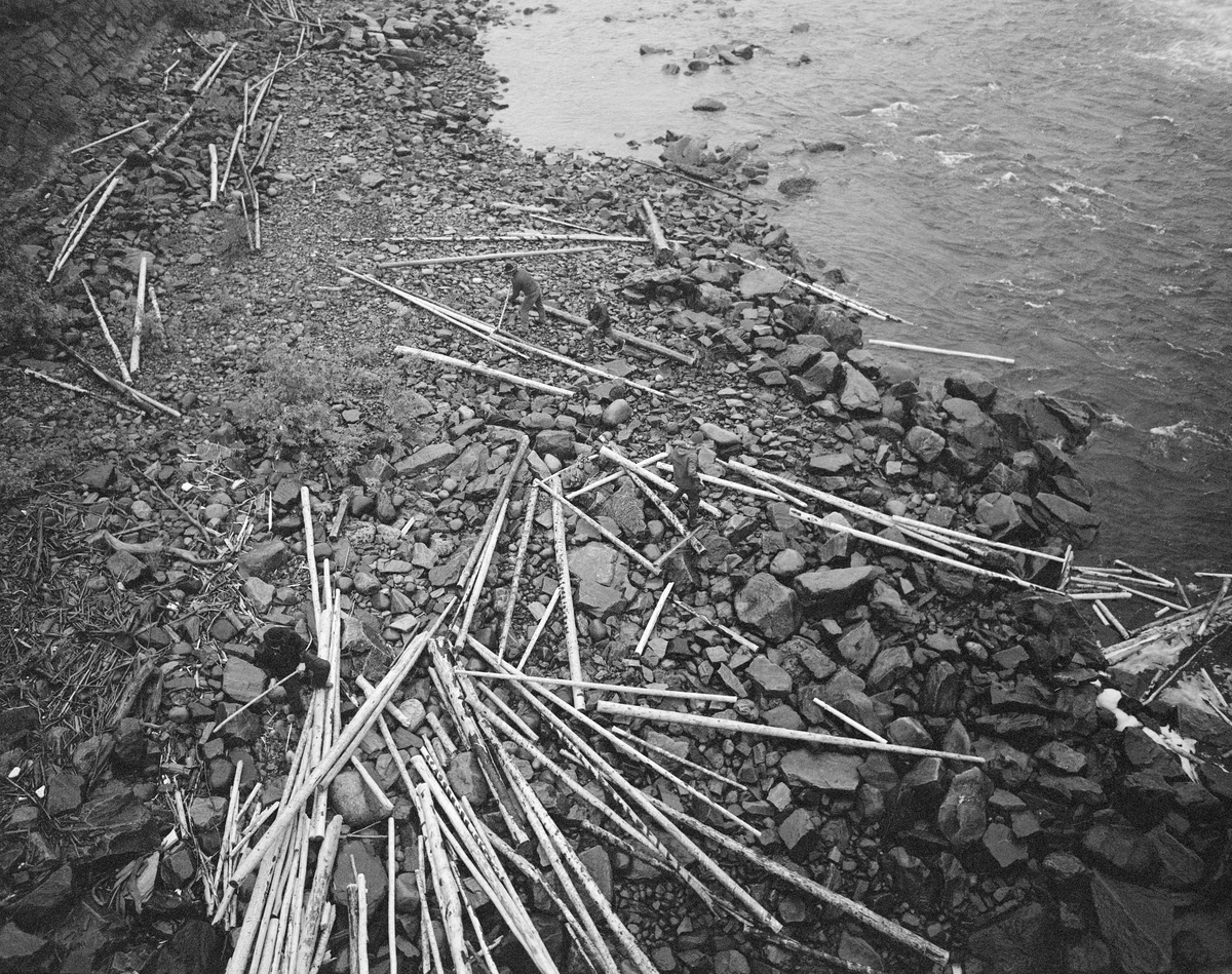 Fra «sluttrensken» under tømmerfløtinga i Glomma sommeren 1984. Under dette arbeidet skulle tømmerstokker som hadde strandet langs elvebreddene eller på stein- og grusører ute i elveløpet hakes ut i det strømmende vannet igjen. Fotografiet er antakelig tatt fra dambrua over Skjefstadfossen i Heradsbygda i Elverum, Hedmark. Vi ser ned på noen menn som, utstyrt med fløterhaker, forsøkte å trekke tømmerstokker som hadde blitt liggende på en steinete elvebredd etter at vårflommen kulminerte. Her skulle stokkene trekkes tilbake mot det strømmende vannet, som skulle bære det videre mot industrien ved den nederste delen av vassdraget. I 1984 var det kun treforedlingsbedriften Borregaard i Sarpsborg som fortsatt kjøpte tømmer i Glommas nedslagsfelt, så dette er såkalt sulfittømmer.