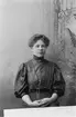 Anna Edlund; Ingår i porträttsamlingen från Knut Wallins ateljé.