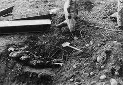Sommeren 1945 ble tyske soldater kommandert til å grave opp 