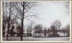 Gamla Oxtorget (numera Teatertorget), Växjö, ca 1900. 
Till höger syns husen i kvarteret Ansgarius (5 och 4) och kvarteret Hörnet 5 llängs Nygatan. Man anar det gamla badhuset mellan träden till vänster.