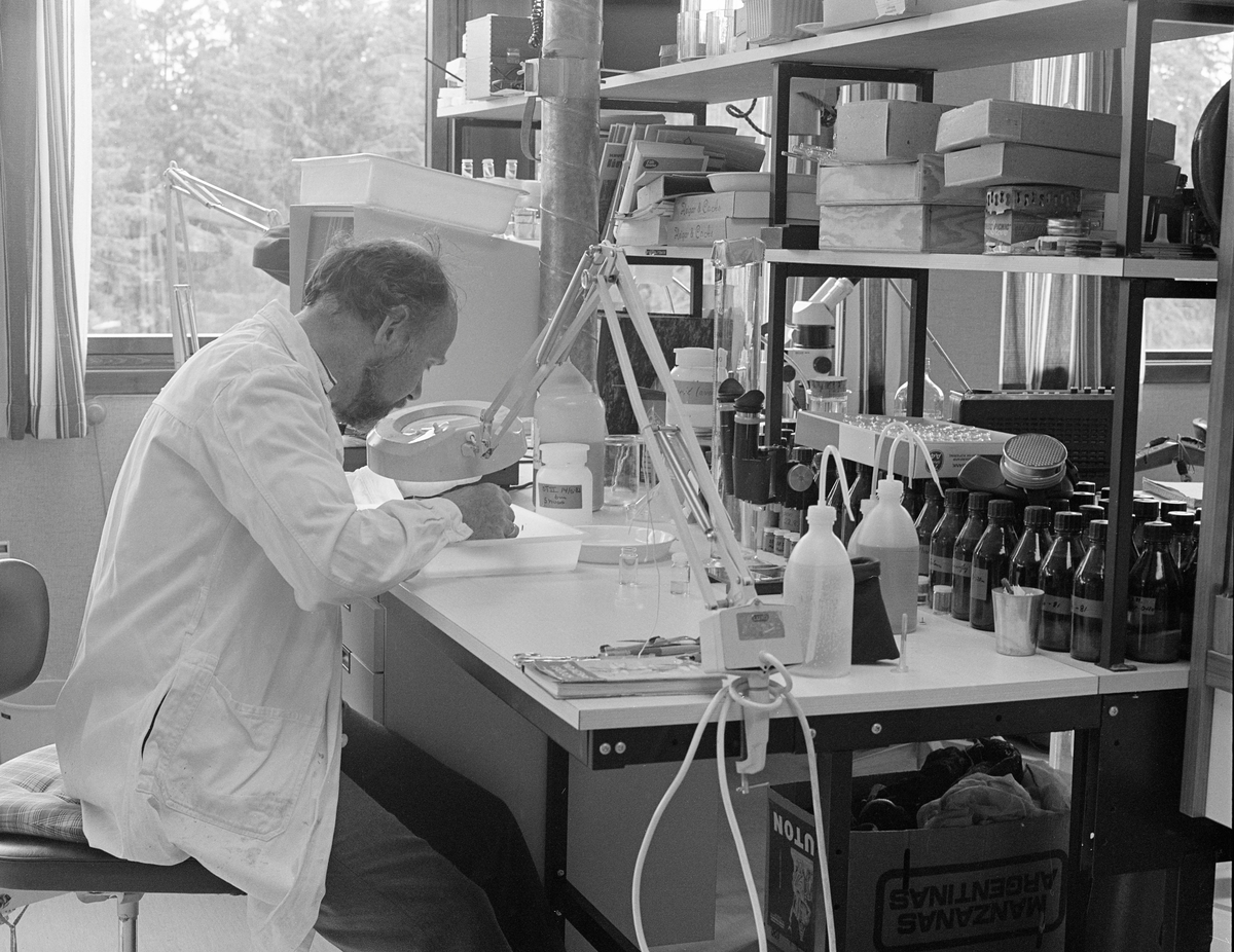 Akvarieleder Christian Andersen ved Norsk Skogbruksmuseum, fotografert i laboratoriet sitt i 1982. Andersen ble ansatt ved museet i 1978, i konkurranse med 16 andre søkere. Han var opprinnelig trondheimsgutt, men hadde studert botanikk, zoologi, geografi, geologi og kjemi ved Universitetet i Oslo. Hovedfagsarbeidet hans i zoologi redegjorde for harrens vandringer i Trysilvassdraget. I 1968 ble cand. real Christian Andersen ansatt som fiskerikonsulent i Nordland og Troms. Fem år seinere ble han museumslektor ved Tromsø museum. Andersen hadde også mange oppdrag som fiskerisakkyndig i forbindelse med utredninger av kraftutbyggingsprosjekter. Han tiltrådte stillingen ved Norsk Skogbruksmuseum 1. august 1978.  Da var firmaet A/S Norlett allerede i gang med montering av 10 akvariekar der man skulle vise fisk i ulike biotoper. Andersen reiste til velrennomerte akvarier i Danmark og Sverige, dels sammen med Jan Ivar Martinsen, som skulle forme akvarieinteriørene. Akvarielederen tok intiativ til at det ble bygd karantenekar og klekkerenne «bakrommene», og han fikk laboratoriefasiliteter som åpnet muligheter for fiskerifaglige analyser. Akvariet på Norsk Skogbruksmuseum ble åpnet 22. juni 1979, og det ble raskt en publikumssuksess. Trond Nystuen ble ansatt som akvarierøkter, under Andersens faglige ledelse. Christian AnAkvarieleder Christian Andersen ved Norsk Skogbruksmuseum, fotografert i laboratoriet sitt i 1982. Andersen ble ansatt ved museet i 1978, i konkurranse med 16 andre søkere. Han var opprinnelig trondheimsgutt, men hadde studert botanikk, zoologi, geografi, geologi og kjemi ved Universitetet i Oslo. Hovedfagsarbeidet hans i zoologi redegjorde for harrens vandringer i Trysilvassdraget. I 1968 ble cand. real Christian Andersen ansatt som fiskerikonsulent i Nordland og Troms. Fem år seinere ble han museumslektor ved Tromsø museum. Andersen hadde også mange oppdrag som fiskerisakkyndig i forbindelse med utredninger av kraftutbyggingsprosjekter. Han tiltrådte stillingen ved Norsk Skogbruksmuseum 1. august 1978.  Da var firmaet A/S Norlett allerede i gang med montering av 10 akvariekar der man skulle vise fisk i ulike biotoper. Andersen reiste til velrennomerte akvarier i Danmark og Sverige, dels sammen med Jan Ivar Martinsen, som skulle forme akvarieinteriørene. Akvarielederen tok intiativ til at det ble bygd karantenekar og klekkerenne «bakrommene», og han fikk laboratoriefasiliteter som åpnet muligheter for fiskerifaglige analyser. Akvariet på Norsk Skogbruksmuseum ble åpnet 22. juni 1979, og det ble raskt en publikumssuksess. Trond Nystuen ble ansatt som akvarierøkter, under Andersens faglige ledelse. Ved siden av oppgavene ved museet var Christian Andersen en engasjert aktør i Norsk museumspedagogisk forening, hvor han var leder fra 1978 til 1982. Han var også en flittig biragsyter til foreningens medlemsblad, «Pedimus». Andersen framsto som en motiverende foredragsholder under de mange lærerkursene som ble avviklet i museet, men den praktiske undervisningen overfor barn og unge som kom til akvariet overlot han helst til andre.  Akvarielederen ivret for å markedsføre virksomheten - både akvariet spesielt og museet generelt. Sammen med kona Kari Qvenild Andersen arbeidet han ivrig for å utvikle De nordiske jakt- og fiskedager til museets viktigste publikumsarrangement, noe de lyktes godt med. Christian Andersen ble pensjonist i 1999. De to siste årene hadde han, ved siden av sine oppgaver knyttet til akvariet og markedsføringa av museet, en avdelingslederfunksjon. Som pensjonist ble Christian Andersen en ivrig golfspiller. I miljøet rundt golfbanen i Elverum fikk han montert en mengde fuglekasser som han fulgte nøye med registrering av hekkende arter.