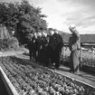 Studiebesök på försöksodlingen. Fyn, Danmark 1935.