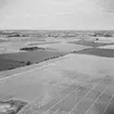 Vy från Odinstornet som låg vid Odense. Tornet förstördes 1944. Danmark 1935.