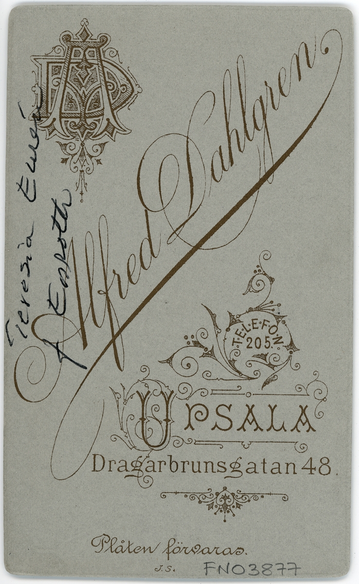 Kabinettsfotografi - Teresia Enroth, Uppsala 1892