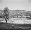 En by fotograferat från tåget. Tyskland? Tjeckoslovakien-Ungern-Österrike 1935.