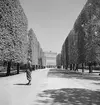 Slottet Schönbrunn i Wien. Tjeckoslovakien-Ungern-Österrike 1935.