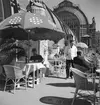 Ett utomhuskafé vid Palmhuset. Schönbrunn, Wien. Tjeckoslovakien-Ungern-Österrike 1935.