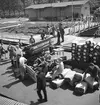 Hainburg an der Donau i Österrike. Lastning och lossning av gods. Tjeckoslovakien-Ungern-Österrike 1935.