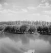 På Donau. Tjeckoslovakien-Ungern-Österrike 1935.