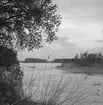 Delta i Donau. Tjeckoslovakien-Ungern-Österrike 1935.