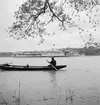 På Donau. Söder om Bratislava. Tjeckoslovakien-Ungern-Österrike 1935.