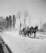 En häst med vagn rullar förbi i Alsódabas. Orten heter idag bara Dabas. Tjeckoslovakien-Ungern-Österrike 1935.