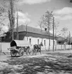 Häst med vagn i Ungern. Tjeckoslovakien-Ungern-Österrike 1935.