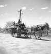 Häst med vagn i Ungern. Tjeckoslovakien-Ungern-Österrike 1935.