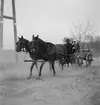 Häst och vagn i Alsódabas. Orten heter idag Dabas. Tjeckoslovakien-Ungern-Österrike 1935.