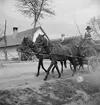 Häst med vagn. Ungern. Tjeckoslovakien-Ungern-Österrike 1935.