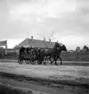 Häst och vagn i Ungern. Tjeckoslovakien-Ungern-Österrike 1935.