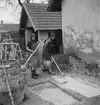 Arbetande kvinnor i Balatonszentgyörgy. Tjeckoslovakien-Ungern-Österrike 1935.