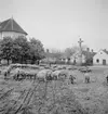 Vallning av ullsvin i Vörs. Vid kyrkan. Tjeckoslovakien-Ungern-Österrike 1935.