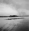 Flottning av timmer på Donau. Ungern? Tjeckoslovakien-Ungern-Österrike 1935.