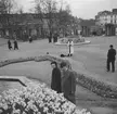 Trädgårdsutställning i Gent. Tyskland-Holland-Belgien 1938.