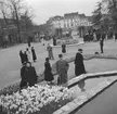 Trädgårdsutställning i Gent. Tyskland-Holland-Belgien 1938.