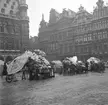 Marknad på torget i Brygge. Tyskland-Holland-Belgien 1938.