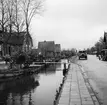 Hus i Aalsmeer. Tyskland-Holland-Belgien 1938.