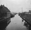 Hus i Aalsmeer. I bakgrunden syns några växthus. Tyskland-Holland-Belgien 1938.