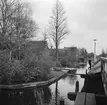 Bebyggelse vid en kanal i Aalsmeer. Tyskland-Holland-Belgien 1938.